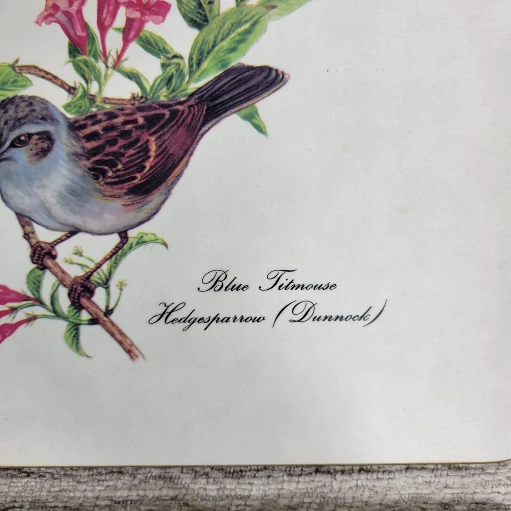 Vintage Lady Clare Luncheon Bird Placemats Felt Back Wood Cork England Set of 4